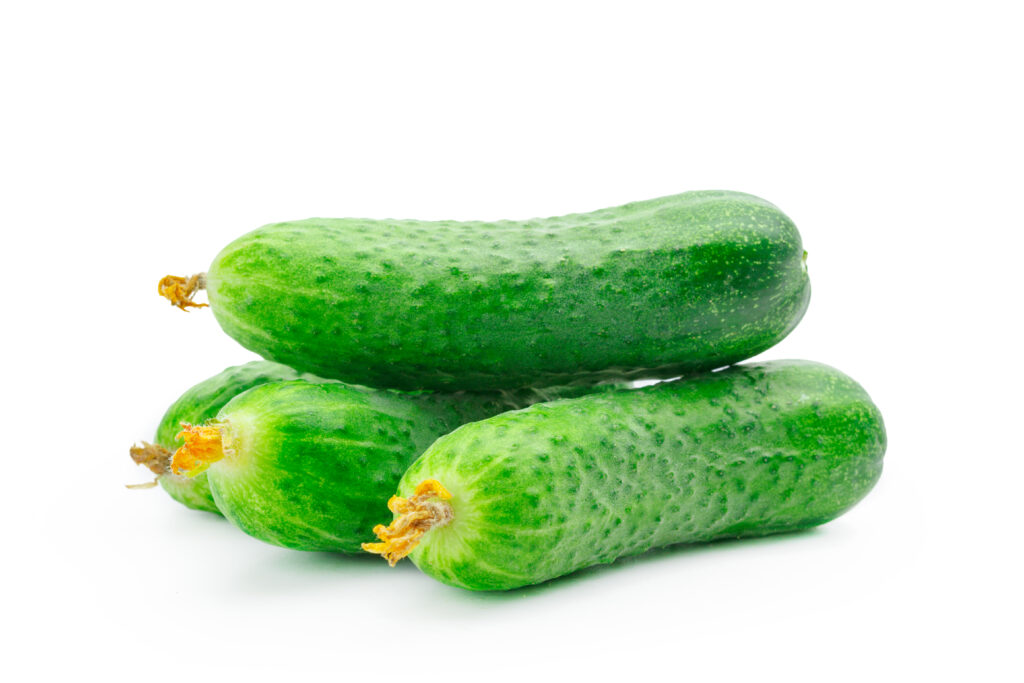 cucumber